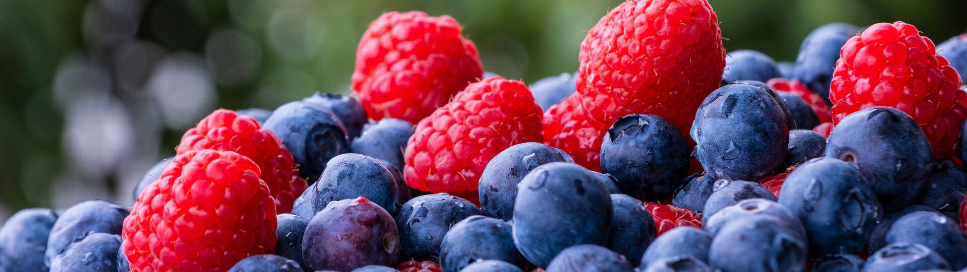 Himbeer-Banner 1